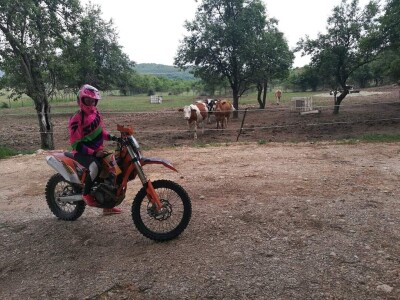 Ana Jergović, ljubiteljica životinja