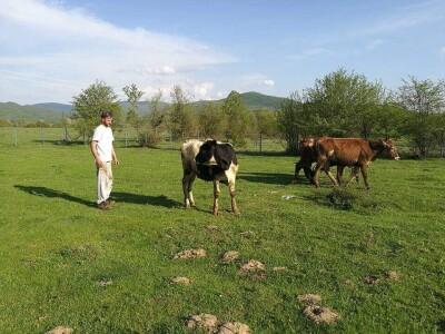 Ana Jergović, ljubiteljica životinja
