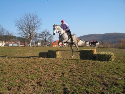Ana Jergović, ljubiteljica životinja