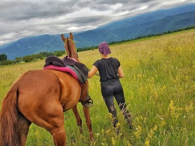 Ana Jergović, ljubiteljica životinja
