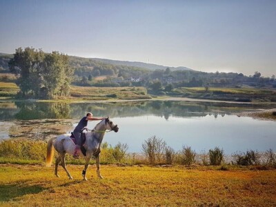 Ana Jergović, ljubiteljica životinja