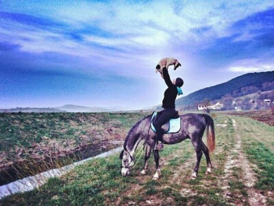 Ana Jergović, ljubiteljica životinja