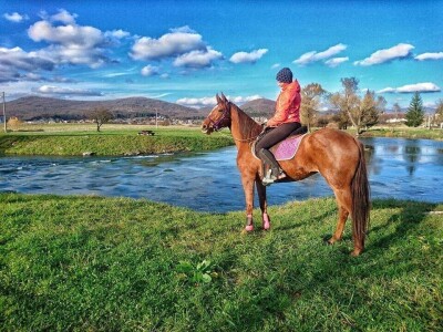 Ana Jergović, ljubiteljica životinja