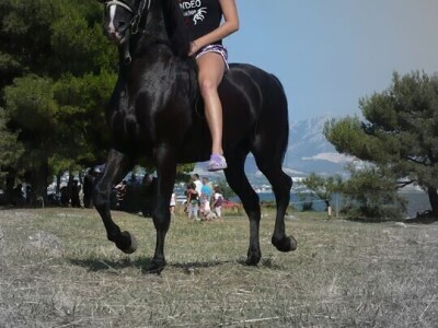 Ana Jergović - veliki zaljubljenik u životinje