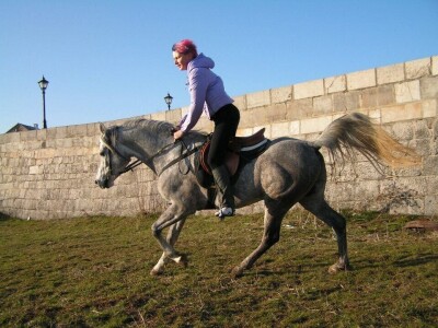Ana Jergović - veliki zaljubljenik u životinje