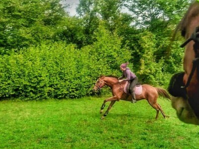 Ana Jergović - veliki zaljubljenik u životinje