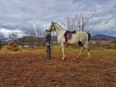 Ana Jergović - veliki zaljubljenik u životinje