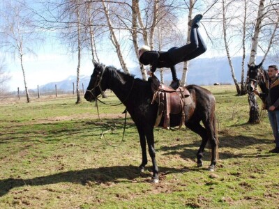 Ana Jergović - veliki zaljubljenik u životinje