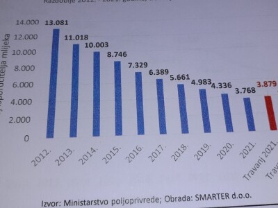 Analiza govedarstva Analiza govedarstva