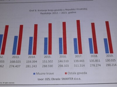 Analiza govedarstva Analiza govedarstva