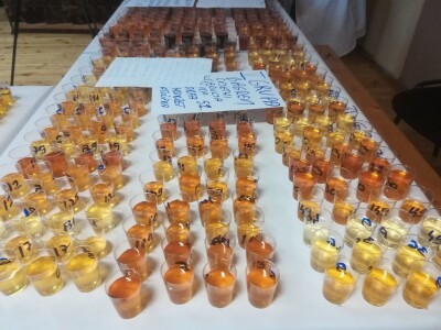 Analiza meda Analiza meda