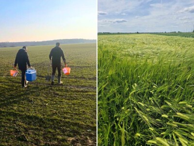 Analiza tla na gospodarstvu Mladena Ferenčaka