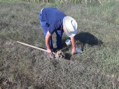 Analiza zemljišta Analiza zemljišta