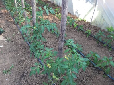 Analiza zemljišta Analiza zemljišta