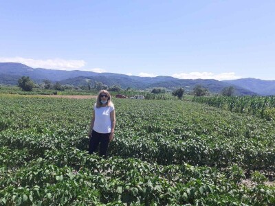 Analiza zemljišta Analiza zemljišta