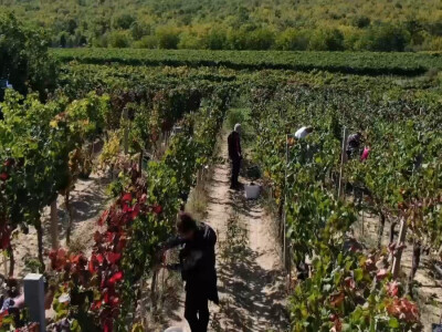 Andrija nastavio utabanim stazama predaka, košarkaš se vratio selu