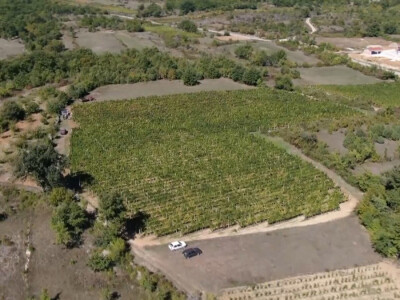 Andrija nastavio utabanim stazama predaka, košarkaš se vratio selu