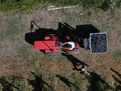 Andrija nastavio utabanim stazama predaka, košarkaš se vratio selu