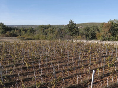 Andrija nastavio utabanim stazama predaka, košarkaš se vratio selu