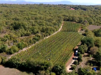 Andrija nastavio utabanim stazama predaka, košarkaš se vratio selu