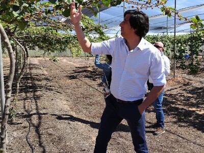 Anecoop Valensija Anecoop Valensija