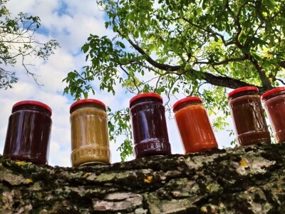 Anina domaća zimnica