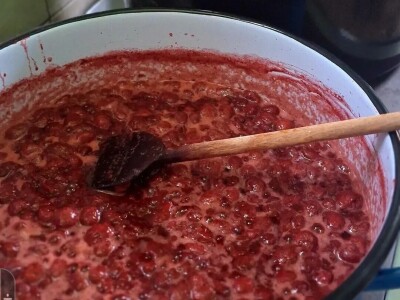 Anina domaća zimnica