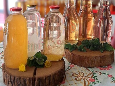 Anina domaća zimnica