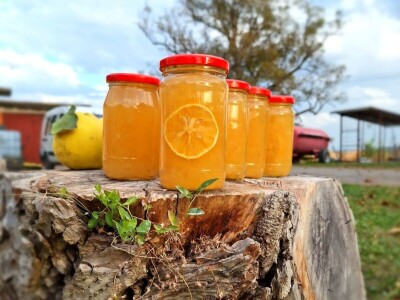 Anina domaća zimnica