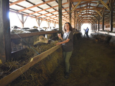 Ankica Ursić Molnar