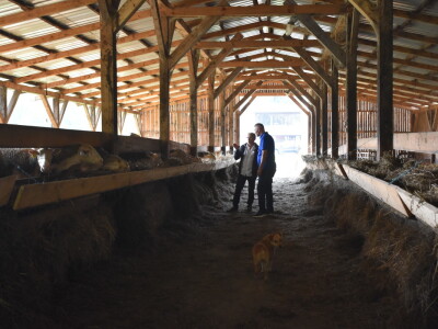 Ankica Ursić Molnar