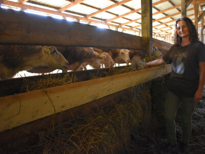 Ankica Ursić Molnar