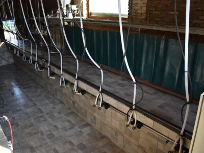 Ankica Ursić Molnar