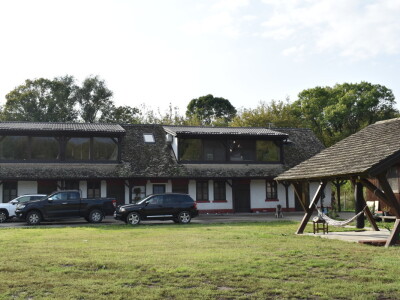 Ankica Ursić Molnar