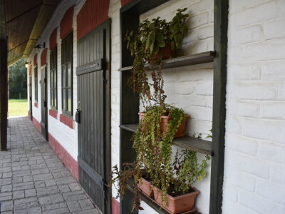 Ankica Ursić Molnar