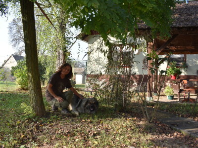 Ankica Ursić Molnar