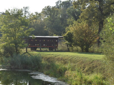 Ankica Ursić Molnar