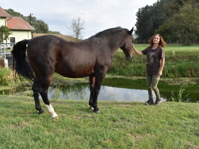 Ankica Ursić Molnar