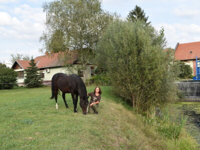 Ankica Ursić Molnar