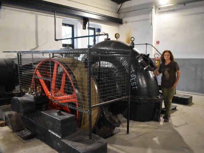 Ankica Ursić Molnar