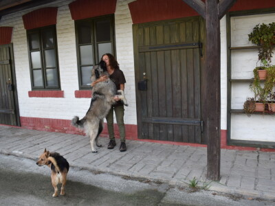 Ankica Ursić Molnar