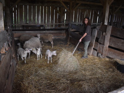 Ankica Ursić Molnar