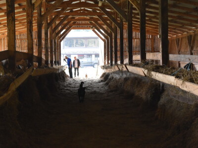 Ankica Ursić Molnar