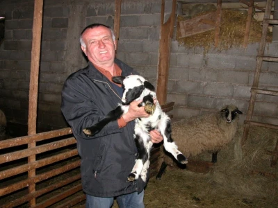 Antin ljubimac