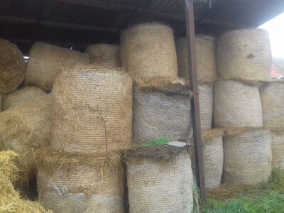 Antolovići iz Vukojevaca