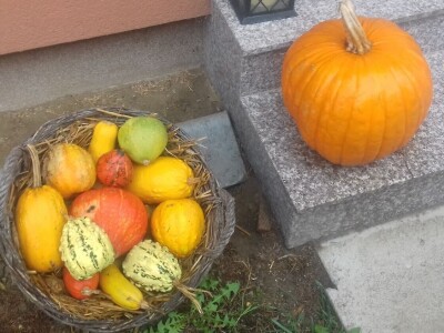 Antolovići iz Vukojevaca