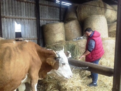 Antolovići iz Vukojevaca