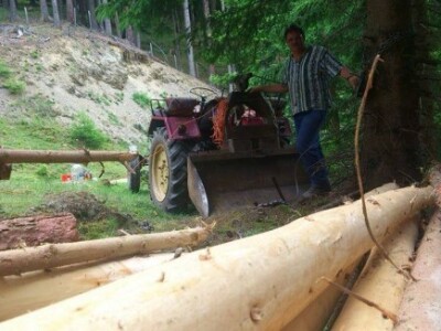Anton je srušio drva, sad ih samo mora dopremiti kući