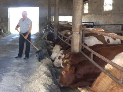 Antonio Kiš, Radenko Jeremić