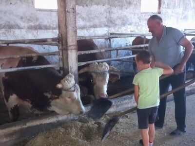 Antonio Kiš, Radenko Jeremić